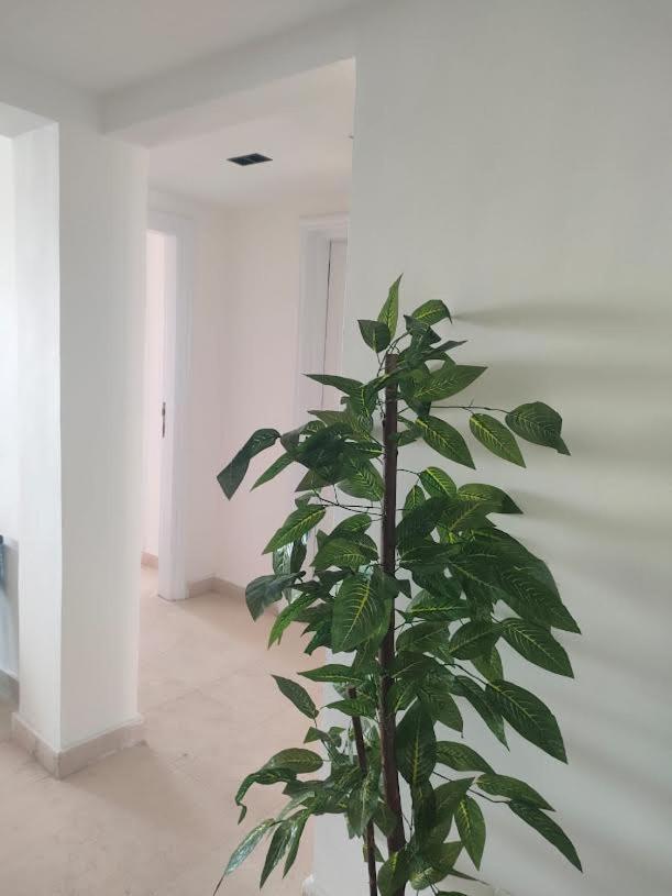Comfort Marine 2 Appartement *
